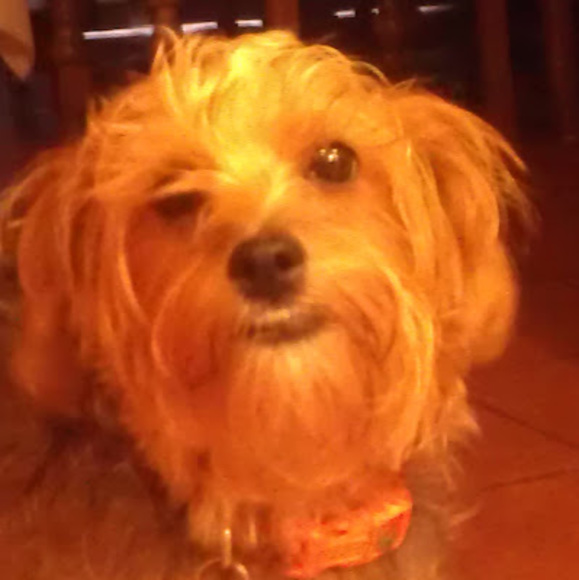 Meet your Posher, Aaron - Picture 1 of 1